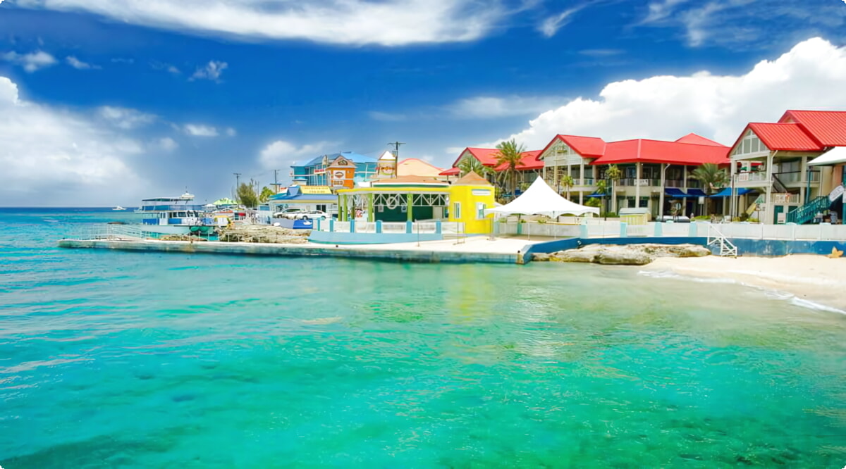 Il nostro inventario include una vasta gamma di veicoli.